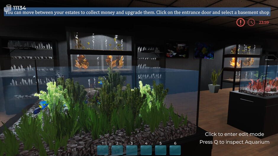 Aquarist Cover Image Steam