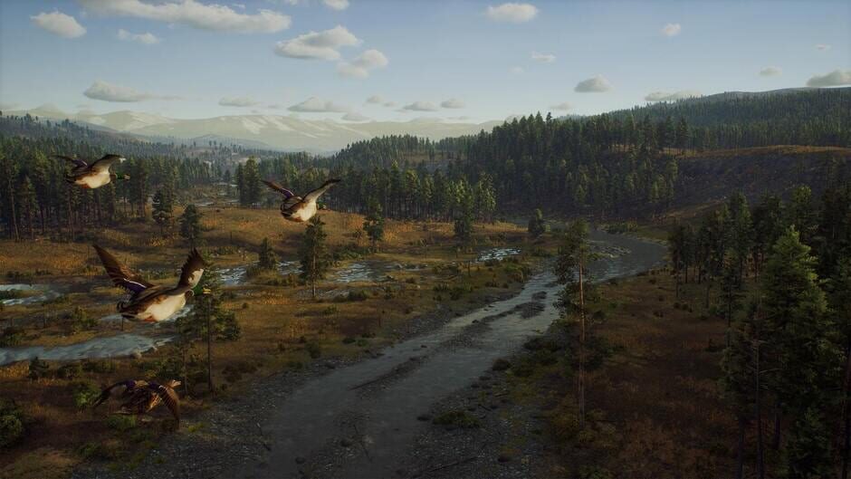 Way of the Hunter Cover Image PlayStation 5