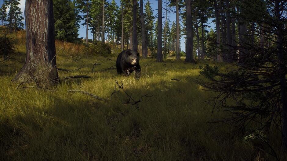 Way of the Hunter Cover Image PlayStation 5