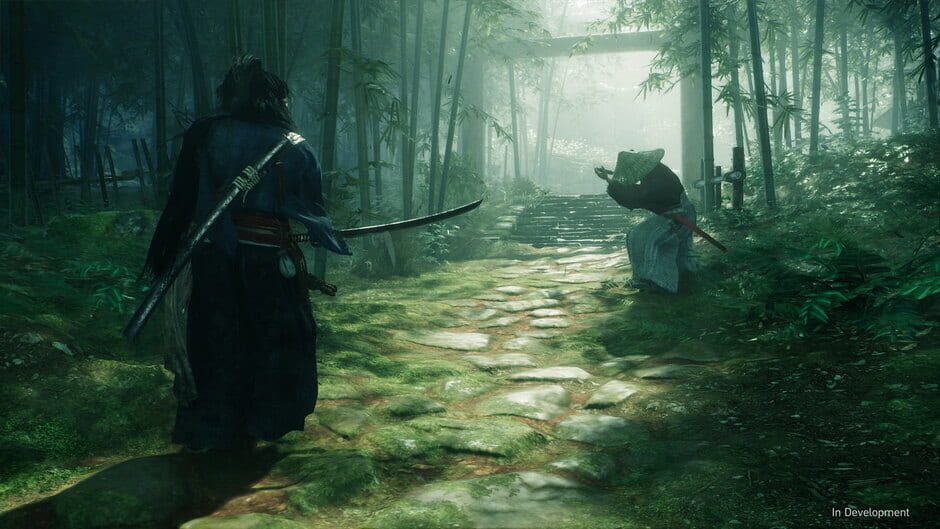 Rise of the Ronin Cover Image Steam