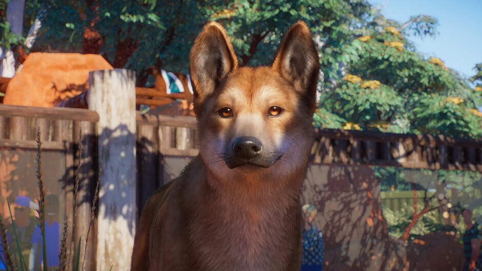 Planet Zoo: Australia Pack DLC Cover Image Steam