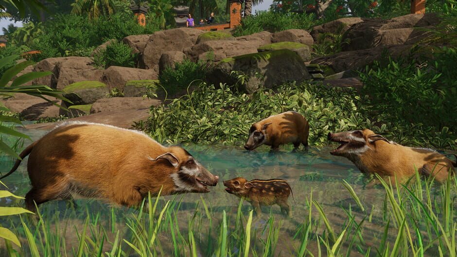 Planet Zoo: Tropical Pack DLC Cover Image Steam