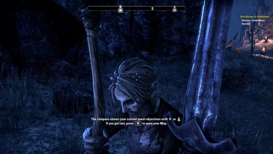 The Elder Scrolls Online Premium Edition Cover Image Elder Scrolls Online