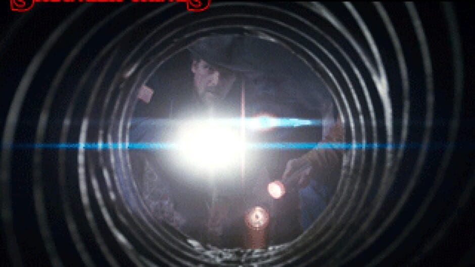 Stranger Things 3 The Game Cover Image Steam