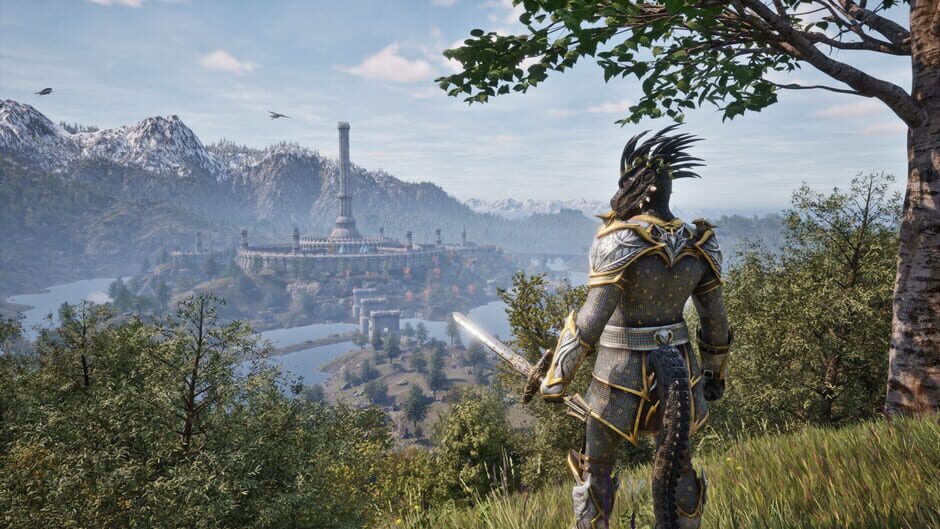 The Elder Scrolls IV: Oblivion Remastered Cover Image Steam