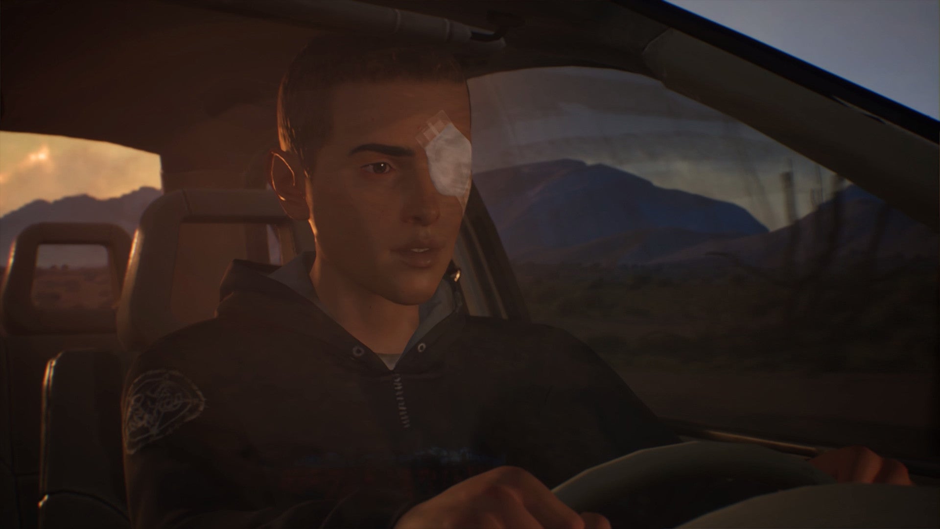 Life is Strange 2 - Episode 4 DLC