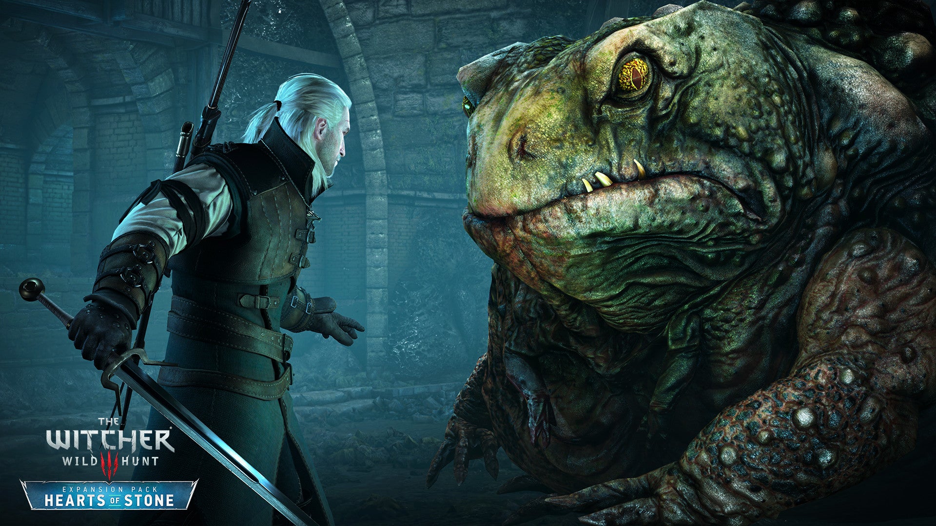 The Witcher 3 Wild Hunt - Expansion Pass DLC
