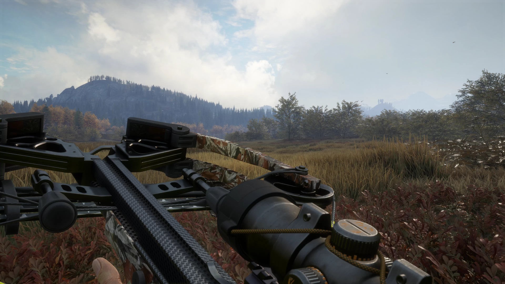 theHunter Call of the Wild - Weapon Pack 1