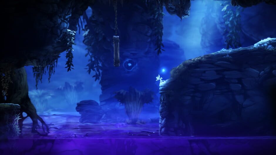 Ori and the Blind Forest Cover Image Xbox One