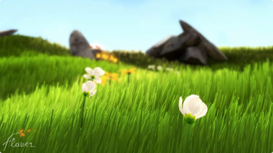 Flower Cover Image Steam