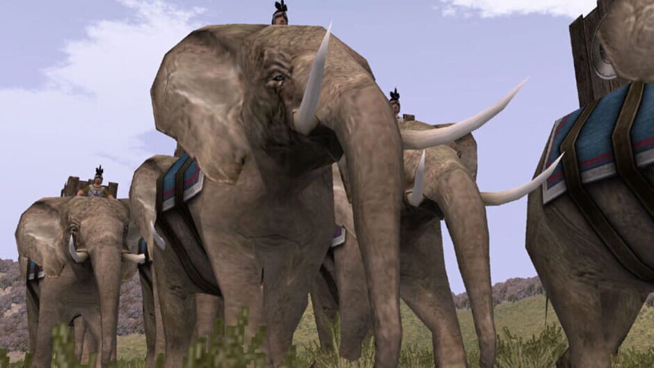 Rome Total War Collection Cover Image Steam