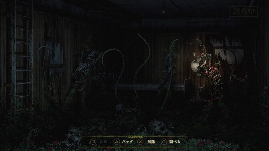 Spirit Hunter: Death Mark Cover Image Steam
